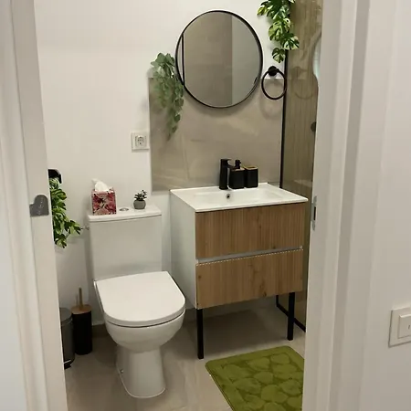 Apartment The Olive Duo Brasov