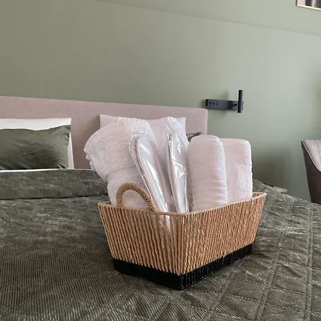 The Olive Duo Apartment Brasov