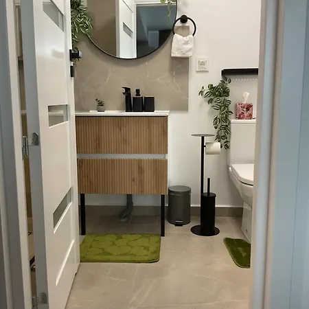 Apartment The Olive Duo Brasov