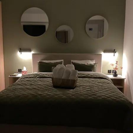 The Olive Duo Apartment Brasov
