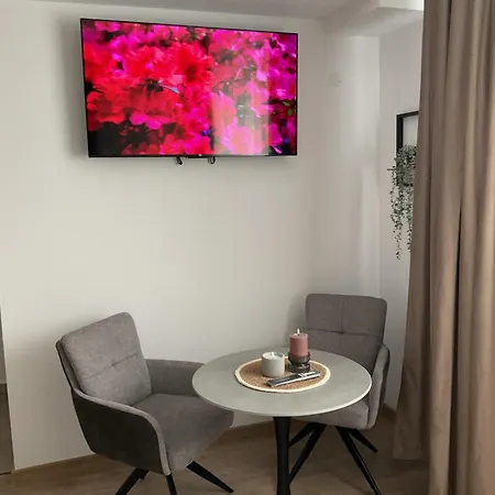 The Olive Duo Apartment *